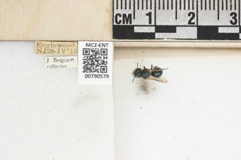 Media type: image;   Entomology 790579 Aspect: Labels